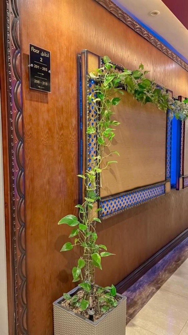 Levant Hotel image 49